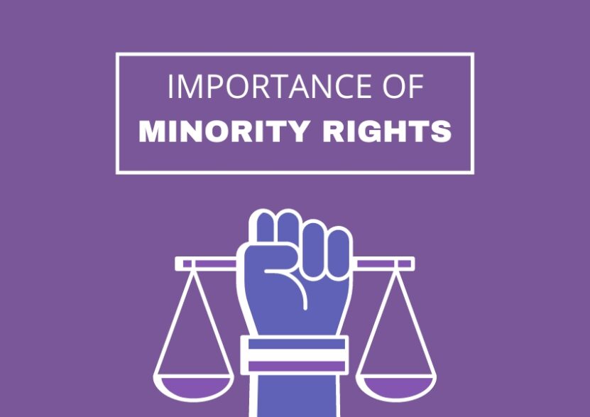 What Do Minority Rights Mean